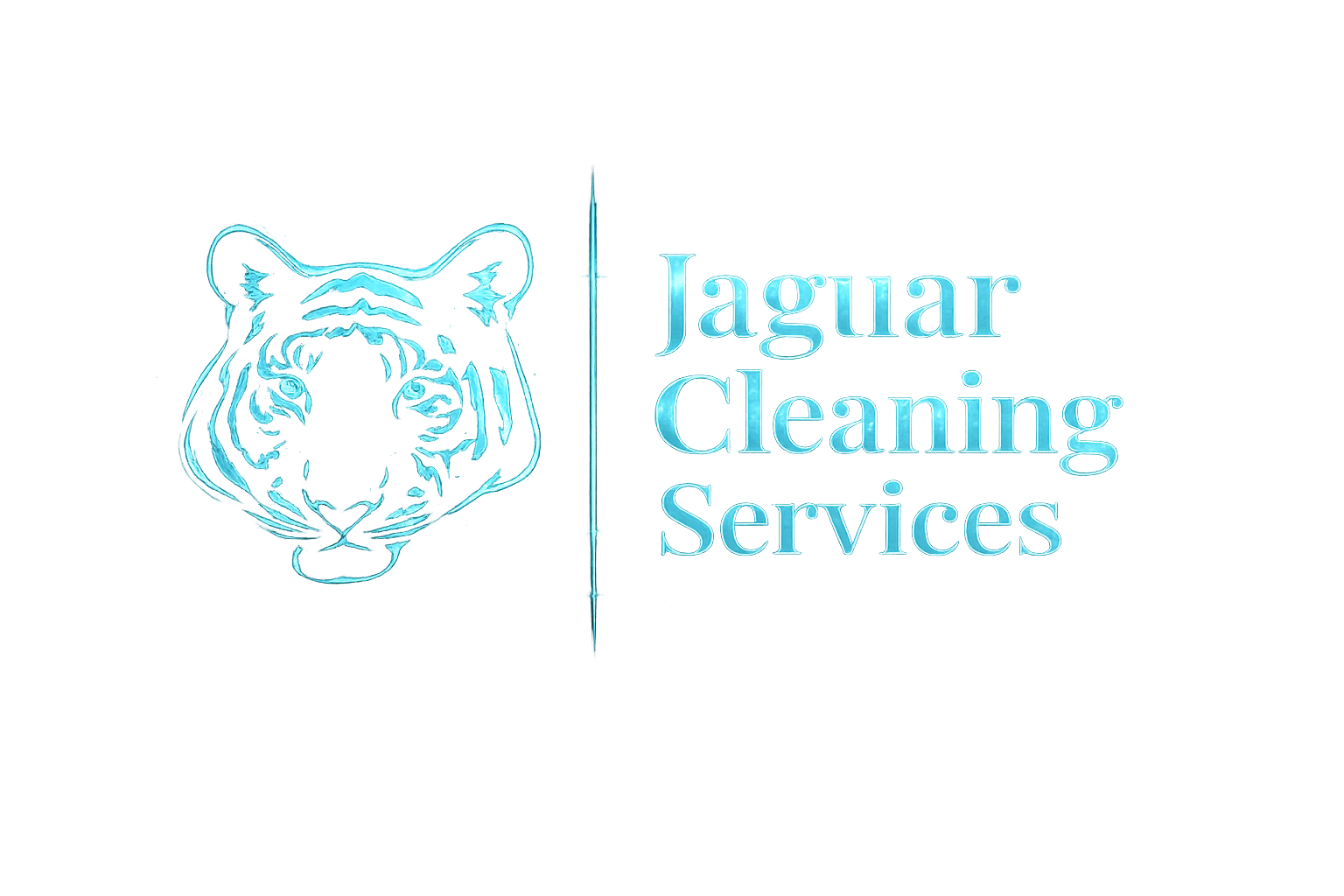 Jaguar Cleaning Services Corp
